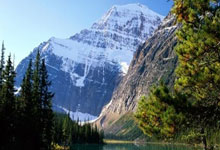 支付设备租赁费怎么做账,付设备租金怎么做分录